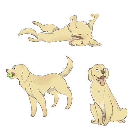 Dog Illustration Labrador, Drawing Of Golden Retriever, Labrador Retriever Drawing Cartoon, Golden Retriever Drawing Reference, Dog Illustration Golden Retriever, Dog Animation Reference, Cartoon Dog Illustration, Golden Retriever Illustration Cartoon, Golden Retriever Doodle Drawing