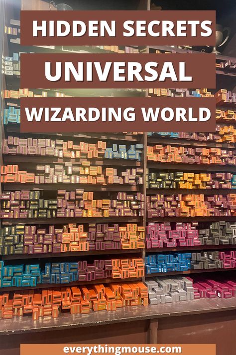 Planning a trip to Universal Studios Orlando? Discover the best tips for an unforgettable experience at The Wizarding World of Harry Potter! From must-see attractions to secret spots, we've got you covered. Whether you're a fan of Harry Potter Orlando or exploring Universal Studios for the first time, make your visit magical with our expert advice.  #HarryPotterWorld #UniversalStudiosOrlando #WizardingWorld #HarryPotterUniversal Universal Studios Wizarding World, Universal Studios Orlando Attractions, Universal Studios Christmas Gift Reveal, Visiting Universal Studios Orlando, Wizarding World Orlando, Harry Potter Orlando Universal Studios, Universal Studios Packing List, Universal Orlando Tips, Universal Studios Trip Reveal