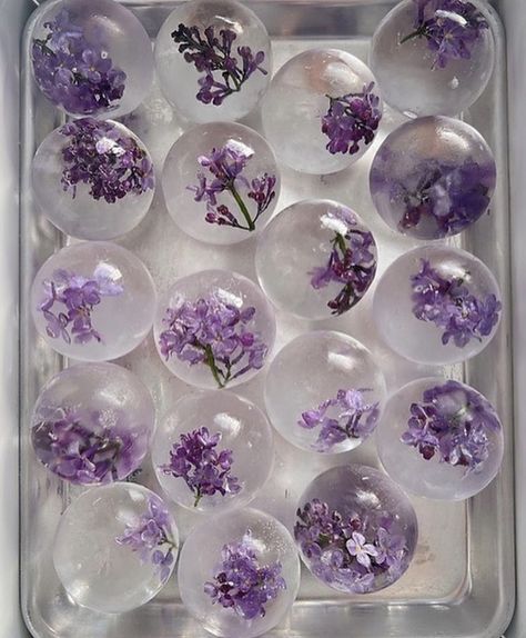 Fairy Brunch, Mobile Bartender, Fancy Ice Cubes, Flower Recipe, Lila Party, Flower Ice Cubes, Flavored Ice Cubes, 20th Bday, Fancy Ice