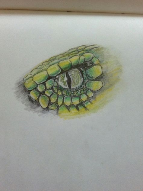 Snakes eye drawing 🐍 Snake Eye Painting, Reptile Eye Drawing, Snake Eyes Drawing, Snake Eye Drawing, Drawing Snake, Painting Snake, Snake Sketch, Reptile Eye, Snake Painting