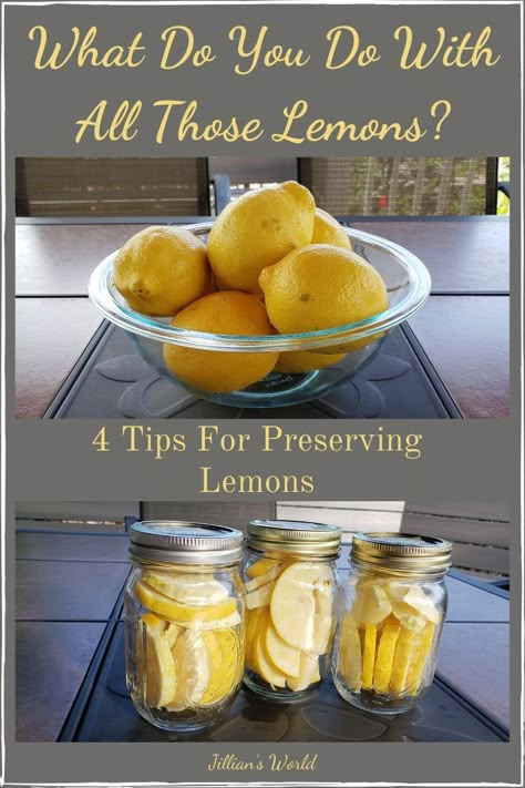 How To Preserve Lemons, Fermented Lemons, Preserve Lemons, Fresh Lemon Recipes, Fermentation Station, Preserved Lemons Recipes, Lacto Fermentation, Dried Spices, Storing Lemons