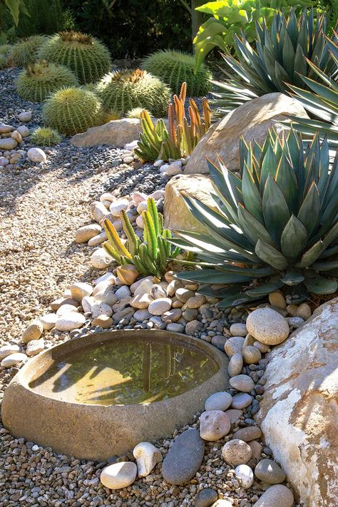 Gravel Landscaping, Drought Tolerant Garden, Drought Tolerant Landscape, Rock Garden Design, Rock Landscaping, Dry Garden, Gravel Garden, Landscaping With Large Rocks, Rock Garden Landscaping