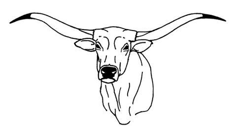 Longhorn Steer Longhorn Bicep Tattoo, Steer Head Drawing, Long Horn Cow Drawing, Longhorn Cow Drawing, Longhorn Line Drawing, Western Outline Drawings, Longhorn Clipart, Longhorn Drawing Easy, Long Horn Skull Drawing