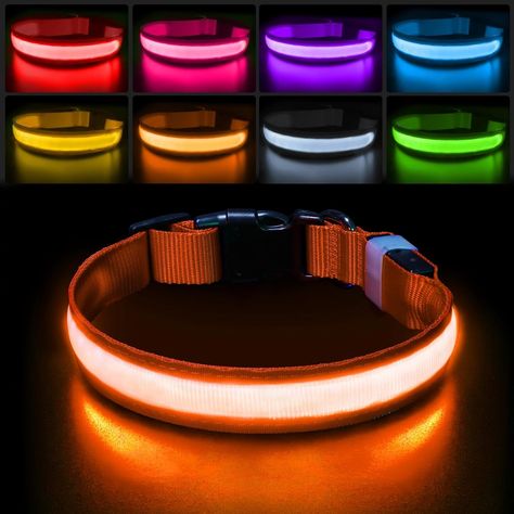 Amazon.com : PcEoTllar Light up Dog Collar for Night Walking - LED Dog Collar Light Rechargeable Color Changing, Glow in The Dark Dog Collars Waterproof Glowing Dog Collars for Large Small Medium Dogs : Pet Supplies Light Up Dog Collar, Led Dog Collar, Up Dog, Dog Safety, Dog Lead, Medium Dogs, Dog Collars, Shih Tzu, Collar And Leash