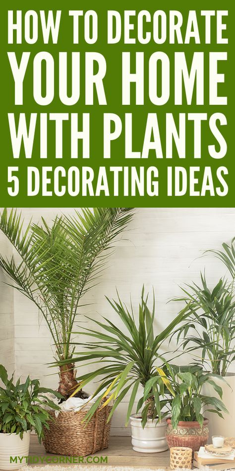 how to decorate with plants indoors living room How To Group Plants Together, Botanical House Interiors, Indoor Plant Grouping Ideas, Plants In The Living Room Ideas, House Plants Indoor Decor Living Room, Plant Decor Ideas Indoor, Silk Plants Living Room Home Decor, Indoor Palm Plants Living Rooms, How To Place Plants In Your Home