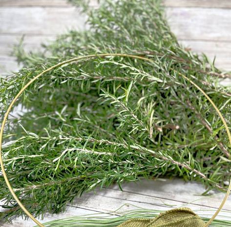 Rosemary recipes