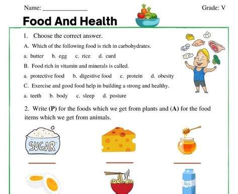 Food And Health Worksheet, Evs Worksheet For Class 2 Food, Evs Worksheet For Class 1 Food, Healthy Unhealthy Food Worksheet, Healthy And Junk Food Worksheet, Food Groups Worksheet, Kindergarten Syllabus, Evs Worksheet, Hygiene Lessons