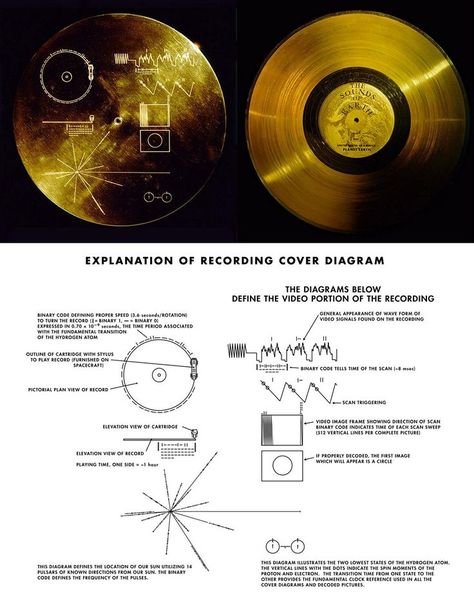 The Voyager Golden Record (1977) The Golden Record, Voyager Golden Record, Golden Record, Voyager 1, Space Facts, Binary Code, Physics And Mathematics, Astronomy Art, Miami Vice