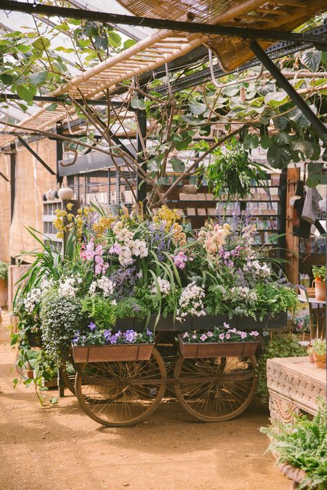 Nature, Garden Cafe Outdoor Coffee Shop, Garden Nursery Ideas, Industrial Coffee Shop Design, Nursery Decoration Ideas, Neutral Garden, Garden Center Displays, Plants Nursery, Petersham Nurseries