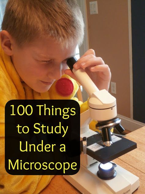 Microscope Activity, Learn Everyday, Microscope Kids, Nature Studies, Under A Microscope, Kid Experiments, Fashion Crafts, Microscopes, Science Fair Projects