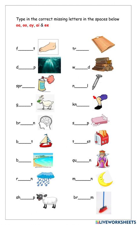 Ee Sound, Oa Sound Worksheets, A E I O U Sound Words Worksheet, Oo Phonics Worksheets, Oo Words Phonics Worksheets, Oo And Ee Words Worksheet, Preschool Curriculum Free, Digraphs Worksheets, Cvcc Words