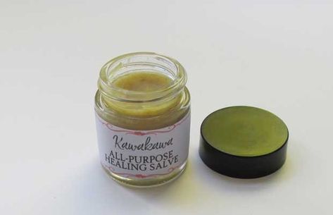 Use gathered kawakawa to make an all-purpose salve for bites, itches (including eczema), and minor burns and cuts. Although there’s no formal scientific research into kawakawa has been used by Maori for its anti-microbial and anti-inflammatory qualities.   To make a salve, first make a kawakawa-infused oil. Materials: a handful of kawakawa olive oil muslin … Kawakawa Balm Recipe, Kawakawa Recipes, Kawakawa Balm, Healing Balm Recipe, Healthy Tonics, Diy Balm, Green Caravan, Homemade Healing Salve, Healing Salve Recipe