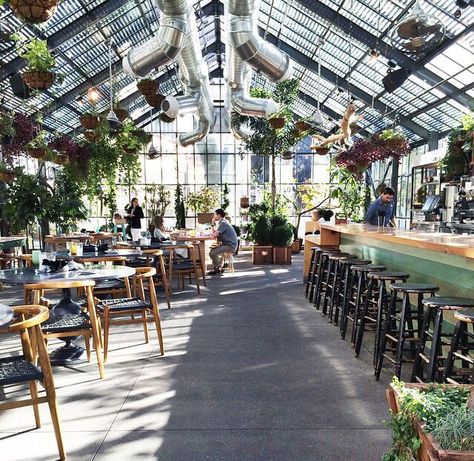 Greenhouse Bar, Greenhouse Shade Cloth, Concept Restaurant, Greenhouse Cafe, Coffee Restaurants, Design Café, Greenhouse Plans, Garden Cafe, Coffee Shop Design