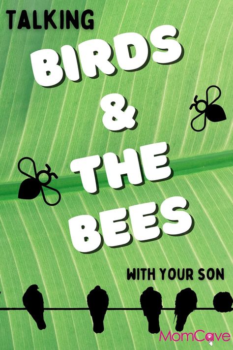 There will be many uncomfortable discussions and curveballs along the way. And the dreaded “birds and the bees talk” is high on the list! No matter how uncomfortable it may be, “the talk” should come from you rather than from somewhere else. #raisingteenagesons #raisingteens #parentingteens #motherhood #parenting Bees For Kids, Parenting Blogs, Inspirational Blogs, Mom Video, Birds And The Bees, Scary Mommy, Slang Words, First Time Parents, Real Moms