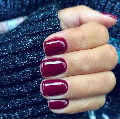 This red violet nail shade is so pretty for Fall! Thanksgiving Nails Color, Violet Nails, Dark Red Nails, Red Nail Polish, Super Nails, Thanksgiving Nails, Nails Polish, Red Nail, Ideas Nails