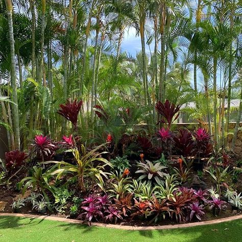 Hawaiian Landscape Design, Tropical Slope Landscaping, Hawaiian Garden Ideas, Hawaiian Landscaping Ideas, Florida Tropical Landscaping Ideas, Tropical Landscaping Front Yard, Hawaii Landscaping, Hawaiian Landscaping, Florida Plants Landscaping