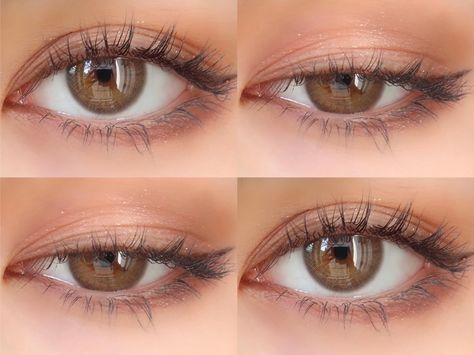 Natural Lenses Eye Color, Amber Contact Lenses, Contact Lenses For Filipina, Korean Lenses, Korean Contact Lenses, Makeup For Small Eyes, Circle Contact Lenses, Natural Contact Lenses, Brown Contact Lenses