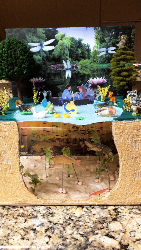 Pond School Project, Freshwater Biome Shoebox Project, Biodiversity School Project, Lake Diorama Project, Wetland Ecosystem Project, Pond Ecosystem Project, Freshwater Diorama, Otter Diorama, Crocodile Diorama