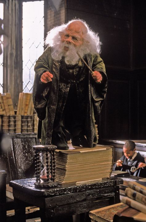 Filius Flitwick, Hogwarts Teachers, Harry Potter Teachers, Professor Flitwick, Harry Potter Professors, The Sorcerer's Stone, Harry Potter Pictures, Harry Potter Facts, Harry Potter Film