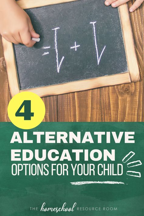 What is Alternative Education? 4 Options for Your Child Secular Homeschool Curriculum, Benefits Of Homeschooling, Alternative Education, Philosophy Of Education, Private Schools, Military School, School Fees, Resource Room, Charter School