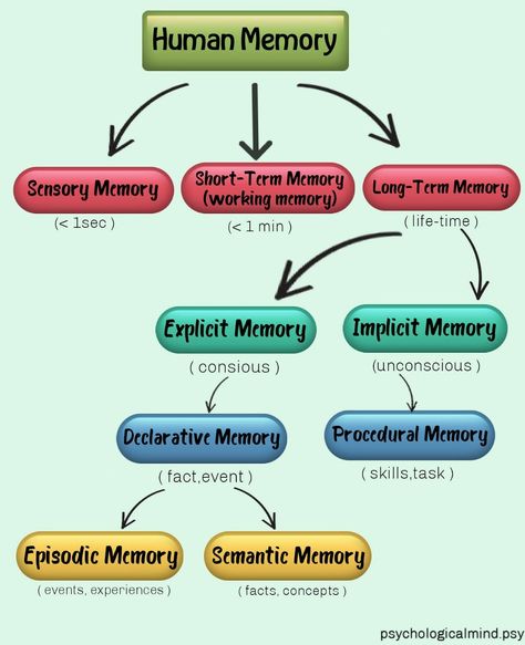 Types of memory Types Of Memory In Psychology, Psychology Memory, Memory Psychology, Psychology Lessons, Memorization Techniques, Psychology Posters, Episodic Memory, Memory Exercises, Types Of Memory