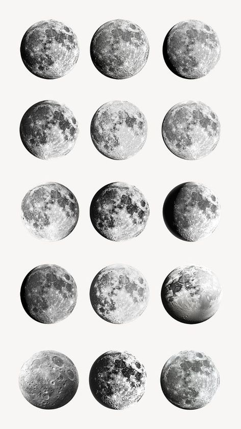 Editable Full moon design element set | premium image by rawpixel.com / Extra Moon Phases Illustration, Full Moon Design, About Moon, Moon Moon, Aesthetic Things, Moon Design, Coven, Digital Sticker, Moon Phases