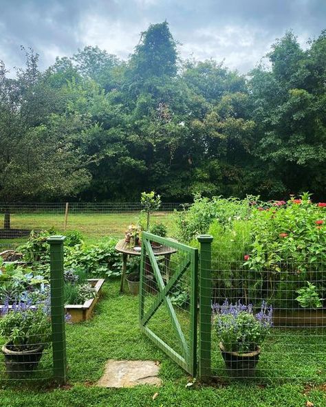 Maura (@m.o.endres) • Instagram photos and videos Veg Patch Ideas, Veg Patch, Patch Ideas, Rustic Patio, Perfect Morning, Dream Cottage, Greenhouse Gardening, August 22, Garden Boxes