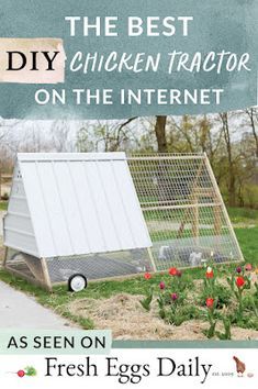 Chicken Tractor Designs, Small Chicken Tractor Diy, Chicken Tractor Plans Free Easy Diy, Chicken Enclosure Ideas Diy, Diy Chicken Tractor Easy, Rolling Chicken Coop, Chicken Coop Simple, Chicken Tractor Ideas, Moveable Chicken Coop