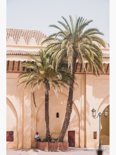 Medina Morocco, Souk Marrakech, Marrakech Souk, Medina Marrakech, Marrakech Riad, Morocco Art, Morocco Aesthetic, Artemis Design, Palm Trees Landscaping