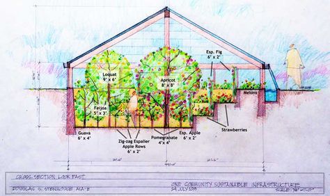 Underground greenhouse-earth sheltered to grow a garden in the cold Serre Diy, Underground Greenhouse, Best Greenhouse, Earth Sheltered, Home Greenhouse, Grow Food, Wooden Greenhouses, Small Greenhouse, Greenhouse Plans