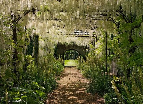 Architectural Digest on Instagram: “The Cloister Garden at England’s Petworth house features two 120-foot-long pergolas laden with Wisteria which we captured in full bloom…” Pergolas, Cloister Garden, Petworth House, Wisteria Pergola, House Gardening, Pergola Carport, Exterior Inspiration, Carport Designs, Sussex England