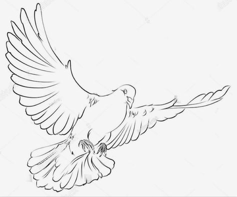 Dove Tattoo Outline, Realistic Dove Tattoo, Traditional Dove Tattoo, Tattoo Design Stencil, Bird Tattoo Sleeves, Dove Drawing, Dove Tattoo Design, Dove Tattoos, Tattoo Design Tattoo