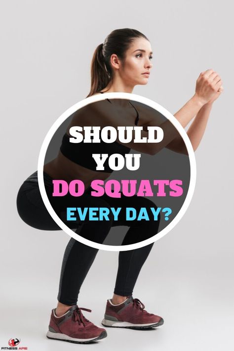 Squats are the type of exercise that can be done virtually anywhere – outside, inside, in the gym, on the mat. So, should you do squats every day?   By reading this article, you can get a clear idea that answering whether or not doing squats every day will be hard. Anyhow, we’ll go into detail and cover every aspect.  #fitnessapie #workout #squatseveryday #squatsguide Squat For Beginners, Squat Everyday, How To Do Squats, Types Of Squats, How To Squat Properly, Benefits Of Squats, Exercises To Lose Belly, Type Of Exercise, Weighted Squats