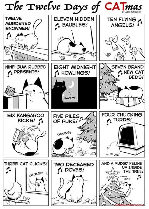 12 Days of Catmas Christmas Funnies, How To Cat, Simons Cat, Cat Obsession, Cat Comics, 12 Days Of Christmas, Crazy Cat Lady, Cartoon Cat, Comic Strip