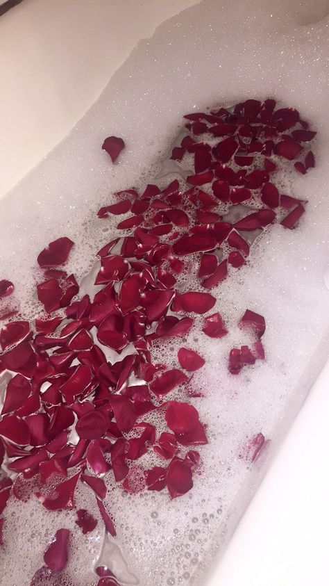 Mona Mayfair, Rose Petal Bath, Pink Rose Petals, Bath Aesthetic, Villain Era, Dark Red Roses, Rose Bath, Aesthetic Roses, Insta Post