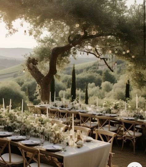 Tuscan Tablescape, Olive Branch Decor, Tuscan Wedding Theme, Tuscany Wedding Theme, Rustic Italian Wedding, Wedding Farmhouse, Tuscan Inspired Wedding, Wedding Table Setting, Mediterranean Wedding