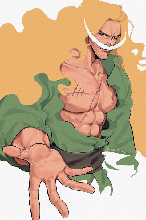 One piece Barba Blanca One Piece, Whitebeard One Piece, Barba Branca One Piece, Doflamingo Wallpaper, One Piece Man, One Piece Crew, One Piece Ace, White Beard, One Piece Drawing