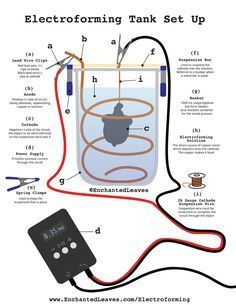 Electroforming Tutorial - Free Step by Step Guide to Making Copper Ele – Enchanted Leaves Electroforming Tutorial, Electroplating Jewelry, Capm Exam, Electroplating Diy, Copper Electroformed Jewelry, Copper Electroforming, Electronics Basics, Metal Etching, Electroformed Jewelry