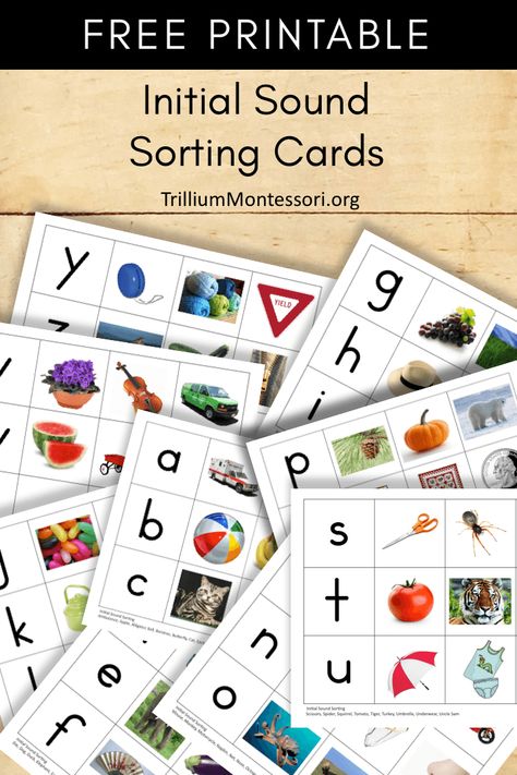 Free Printable Initial Sound Sorting Cards Alphabet Picture Cards Free Printable, Early Language Activities, Montessori Letter Sounds Free Printable, Sound Cards Phonics, Alphabet Picture Cards, Letter Sounds Flash Cards, Beginning Sounds Clip Cards Free, Letter Sound Picture Cards Free, Initial Sound Picture Cards Free