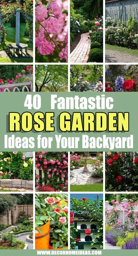 Rose Landscaping Ideas, Rose Bushes Landscape Backyards, Rose Beds Garden Ideas, Roses In Front Of House, Rose Garden Design Layout Flower Beds, Rose Garden Design Layout, Rose Garden Ideas Backyards, Roses In Florida, Rose Garden Design Ideas