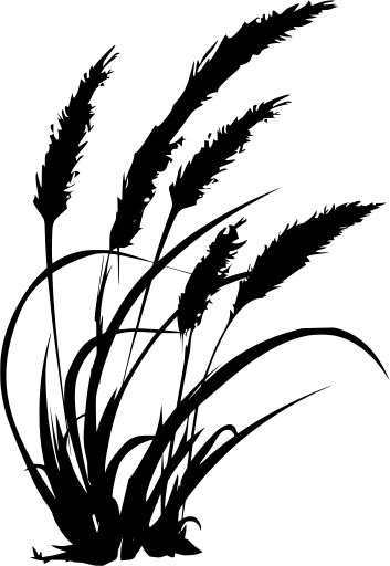 farm wheat farming grass - Free SVG Image & Icon. Plant Sillouhette, Wheat Silhouette, Silhouette Drawing Ideas, Farming Tattoo, Cricut Images Free Svg, Wheat Farming, Wall Silhouette, Plant Silhouette, Svg Images For Cricut