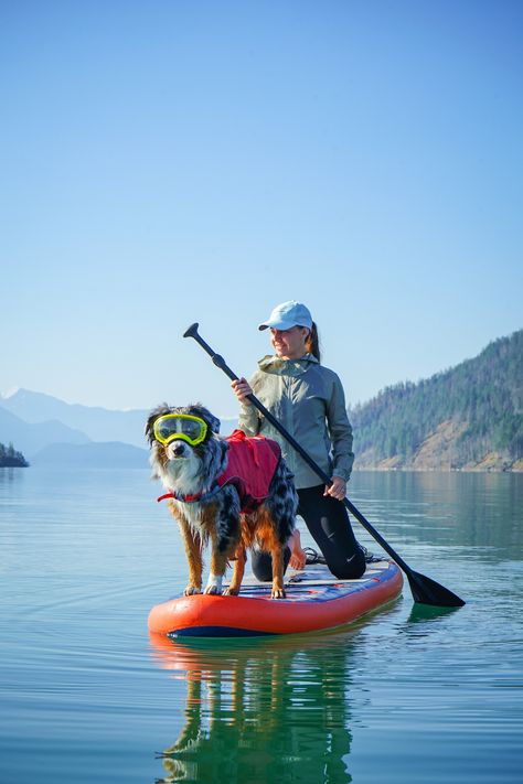 Travel With Pets, Traveling With Dog, Dog Travel Essentials, Hiking With Dog, Hiking Dog, Dog Hiking, Dog Lifestyle, Adventure Dog, Active Dogs