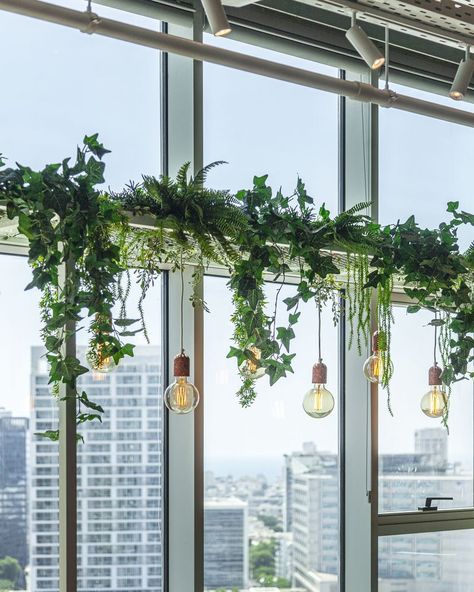 Green Hanging Plants, Hanging Plant Ceiling, Plant Ceiling Decor, Ceiling Plants, Green Ceiling, Office Ceiling, Plant Installation, Plant Study, Window Plants