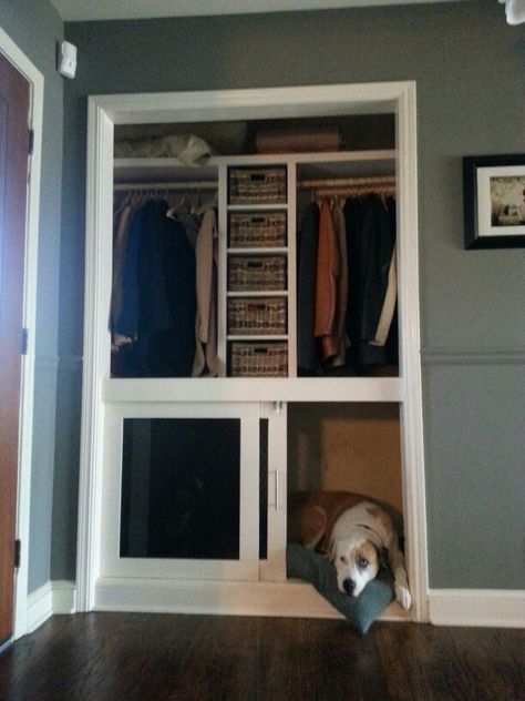 Built in dog crate. The bottom half of our entry closet wasn't being used. So instead of having those ugly metal crates sitting in our sunroom, my husband and i decided to build this. We were able to add a small shelving system in the middle to hold dog accessories, scarves, gloves, and winter hats. Dog House Closet Ideas, Closet Converted To Dog Kennel, Dog Crate Closet Ideas, Built In Dog Kennel Closet, Built In Dog Kennel Bedroom, Dog Bedroom In Closet, Dog Kennels In Closet, Built In Dog Crate Bedroom, Coat Closet Dog Kennel