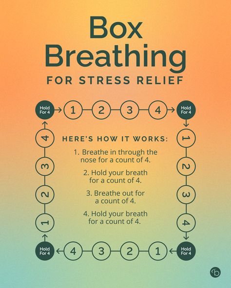 Box breathing is a deep breathing technique designed to calm the mind and body after a stressful experience. ☁️⁠ ⁠ The benefits of box breathing, have been shown to have a healthy impact on blood pressure, heart rate, and cortisol levels (the body’s main stress hormone).⁠ ⁠ Have you tried box breathing? ⁠ ⁠ #boxbreathing #stressrelief Breathe Work Benefits, How To Breathe Better, Calming Breathing Techniques, Deep Breathing Benefits, Box Breathing Benefits, Benefits Of Breathwork, Belly Breathing Exercises, Breath Work Techniques, Boxed Breathing