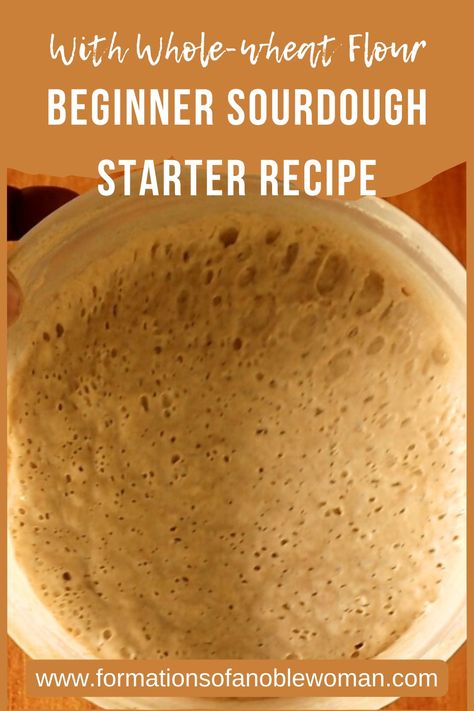 Make your active bubbly Sourdough Starter at home from scratch with just water and whole-wheat flour. If you are a beginner, worry not. I'm showing you how-to in easy-to-follow instructions. The end product will be Sourdough Starter to make all those delightful sourdough recipes! Easy Sourdough Bread Recipe, Whole Wheat Sourdough, Making Sourdough Bread, Sourdough Bread Starter, Dough Starter, Sourdough Pancakes, Starter Recipe, Easy Sourdough, Homemade Sourdough Bread