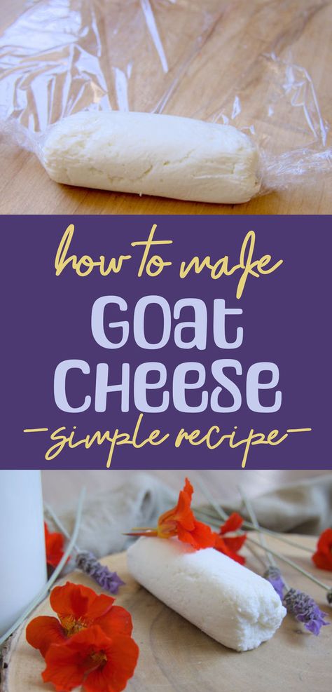 How to make a simple goat cheese How To Make Goat Cheese, Homemade Goat Cheese, Chevre Cheese, Cheese Recipes Homemade, Cheese Making Recipes, Goat Milk Recipes, Goat Recipes, Goat Cheese Recipes, Goats Cheese