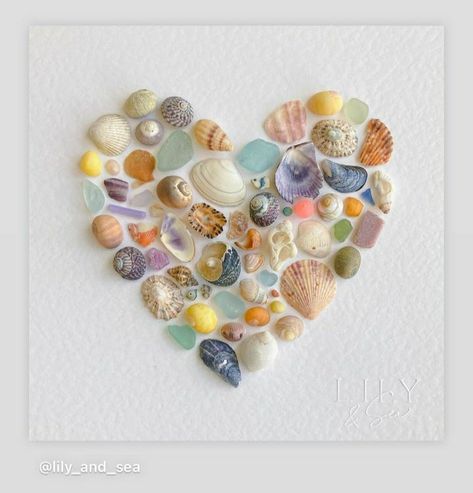 Coquina Shell Art, Things To Make With Shells, Crafts With Shells, Art With Shells, Seashells Crafts, Shell Wall Art, Shells Art, Seashell Art Diy, Sea Shells Diy