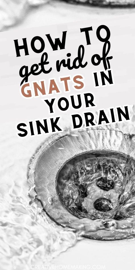 Discover the best ways to eliminate gnats from your sink drain and enjoy a clean, pest-free kitchen. Say hello to a gnat-free home with our simple solutions! Knats Killer Diy Drain, Drain Gnats Get Rid Of, Gnats In Sink Drain, How To Get Rid Of Gnats In The Kitchen, How To Kill Gnats In The House, Drain Flies How To Get Rid Of, How To Clean Sink Drains, Gnats In House Get Rid Of, Get Rid Of Gnats In The House