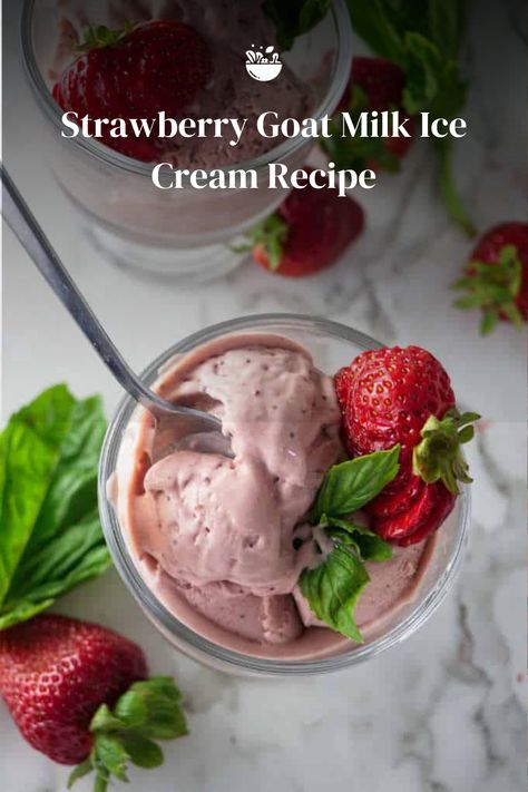 Indulge in creamy sweetness with our Strawberry Goat Milk Ice Cream Recipe! 🐐🍨 A unique and luscious treat that combines the richness of goat milk with the freshness of strawberries. Pure bliss in every scoop! 🌈💕 Goat Milk Ice Cream Recipe, Goat Cheese Ice Cream, Basil Goat Cheese, Milk Ice Cream Recipe, Strawberry Frozen Yogurt, Goat Milk Recipes, Cheese Ice Cream, Lavender Ice Cream, Protein Rich Snacks